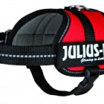 julius-k9-power-rood-xs-s-33-45cm