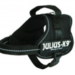 julius-k9-power-zwart-s-40-53cm